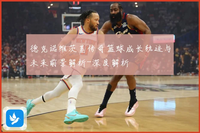 德克诺维茨基传奇篮球成长轨迹与未来前景解析-深度解析